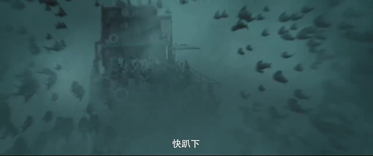 难得的好电影,飞鱼死而后生,一船人都不是它的对手,值得一看