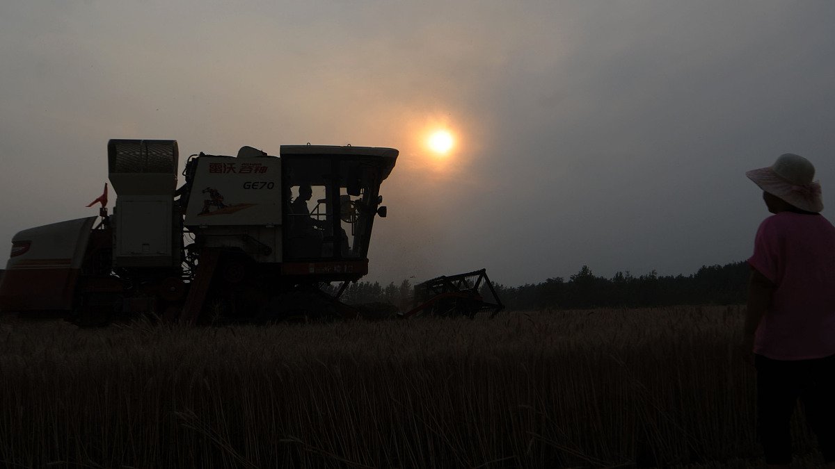 安徽现代信息工程职业学院单招有高铁乘务专业吗