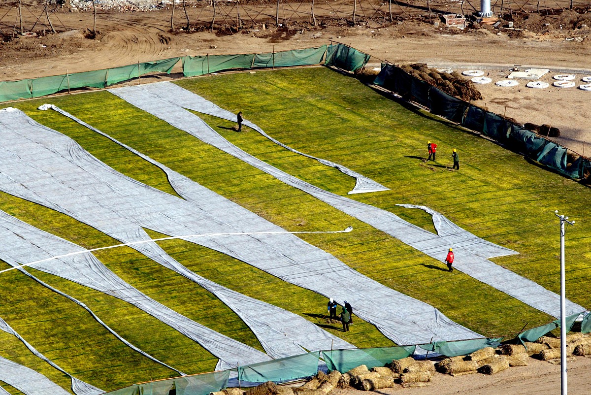 670 平方米草皮交付及时，在周四降雪前铺设球场