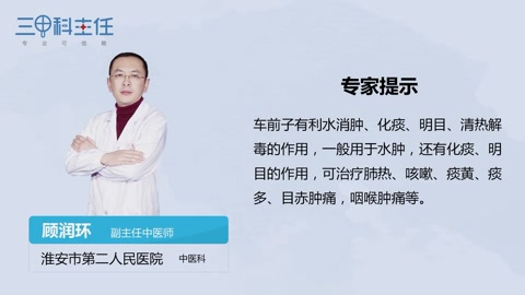 车前子的功效与作用有哪些