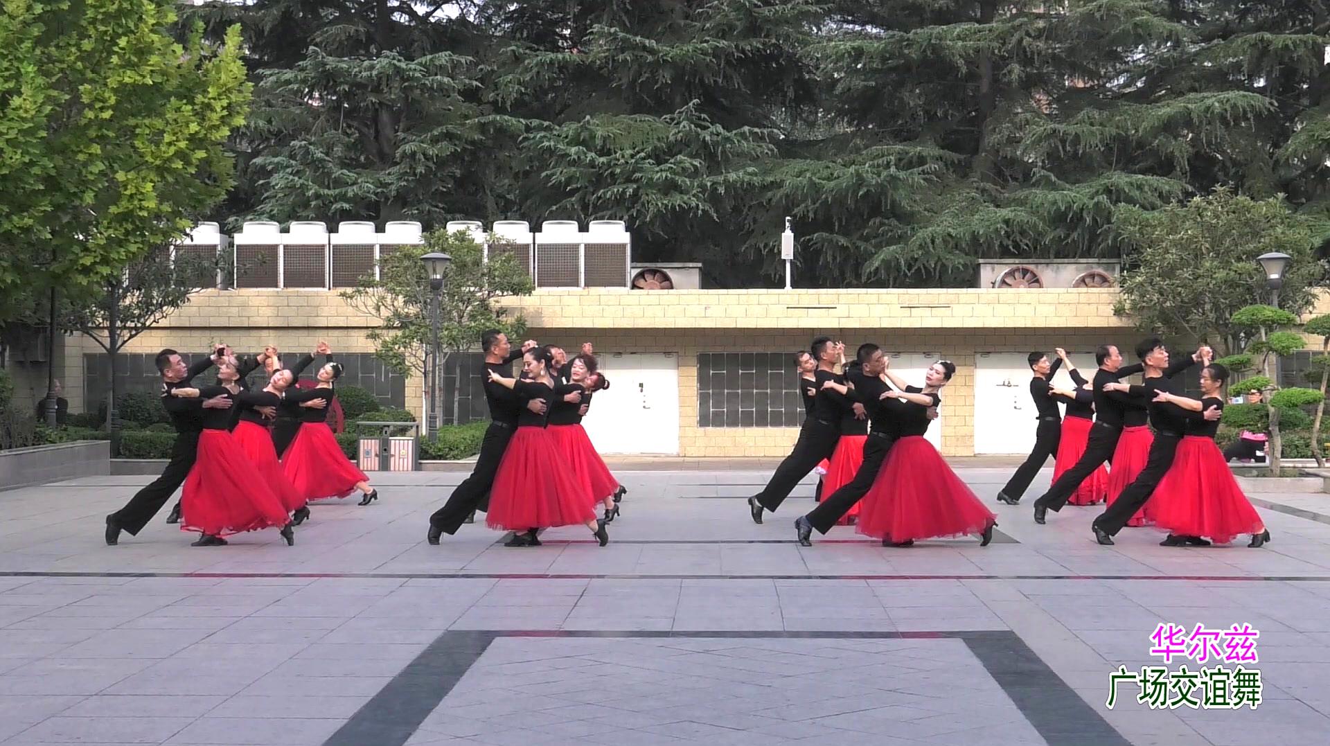 每日一舞《华尔兹》郑州上街体育舞蹈培训中心