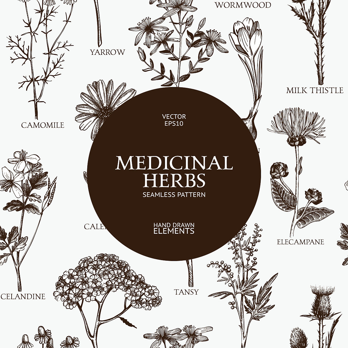 澳大拉西亚植物病理学: 研究范围和影响力