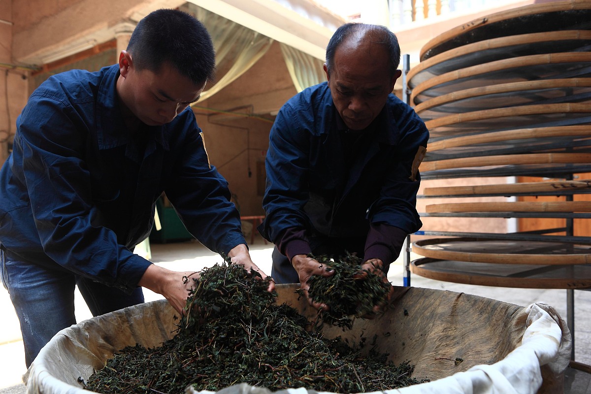 ***_***2013年10月12日,上海,福建传统乌龙茶制作方法