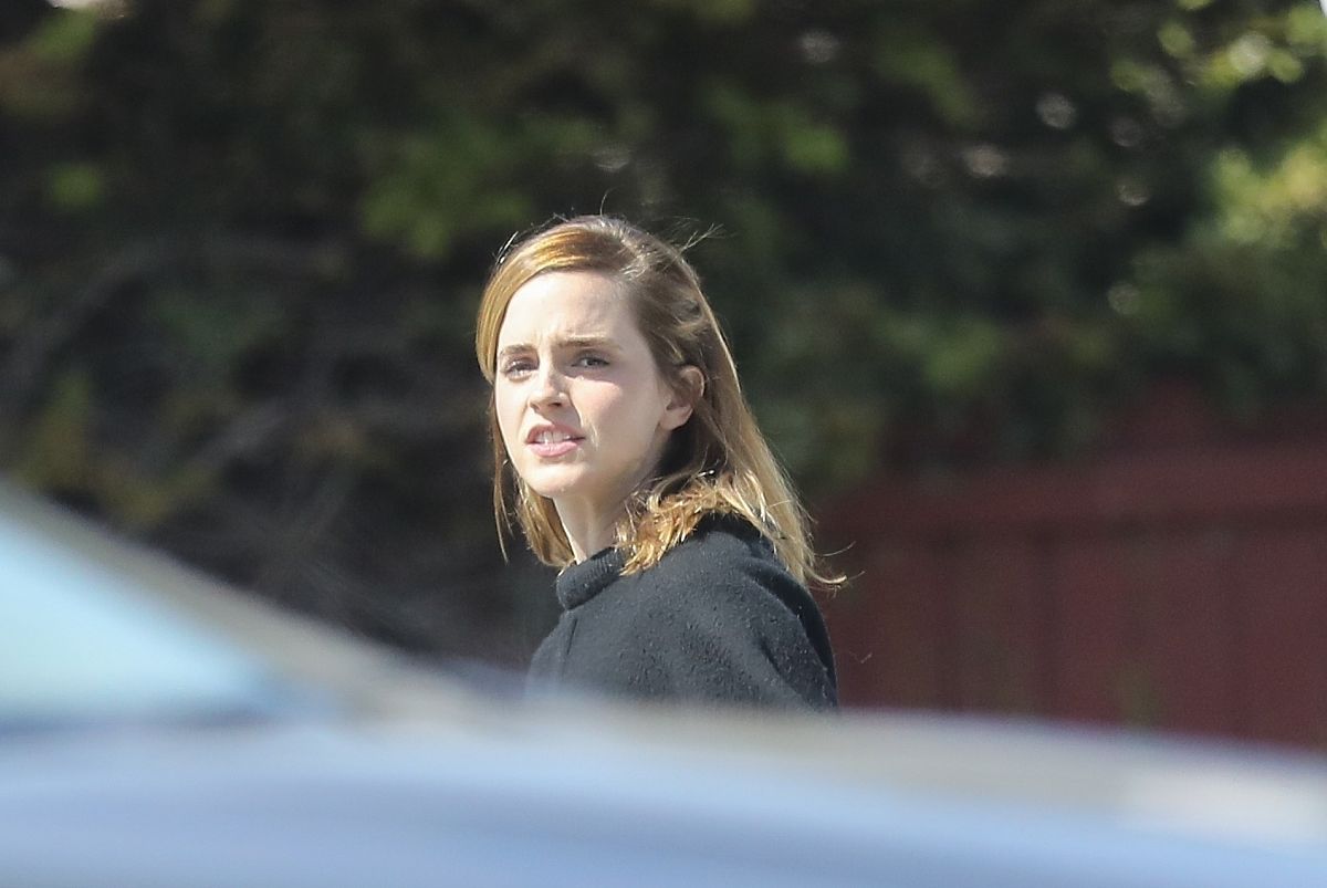 To summarize Emma Watsons speech on feminism at the United Nations