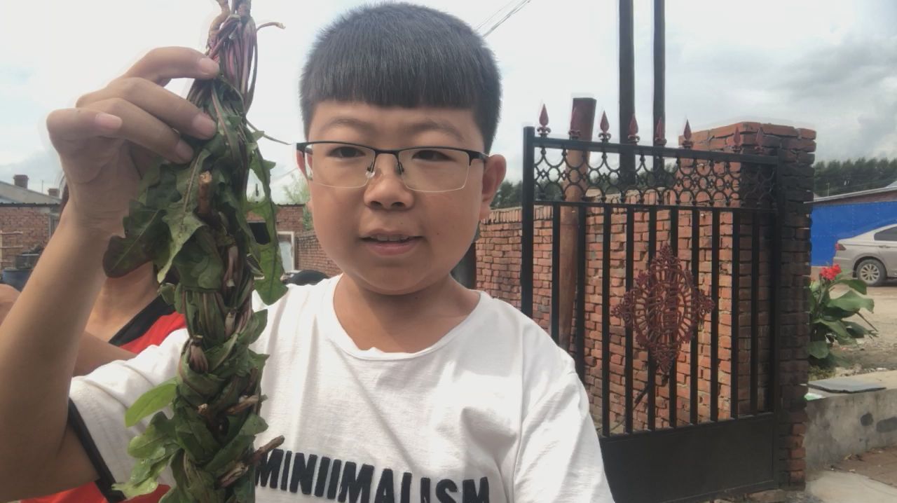 爷俩干啥竟失败而归?弄了几棵草竟编成小辫,老人说这是宝贝