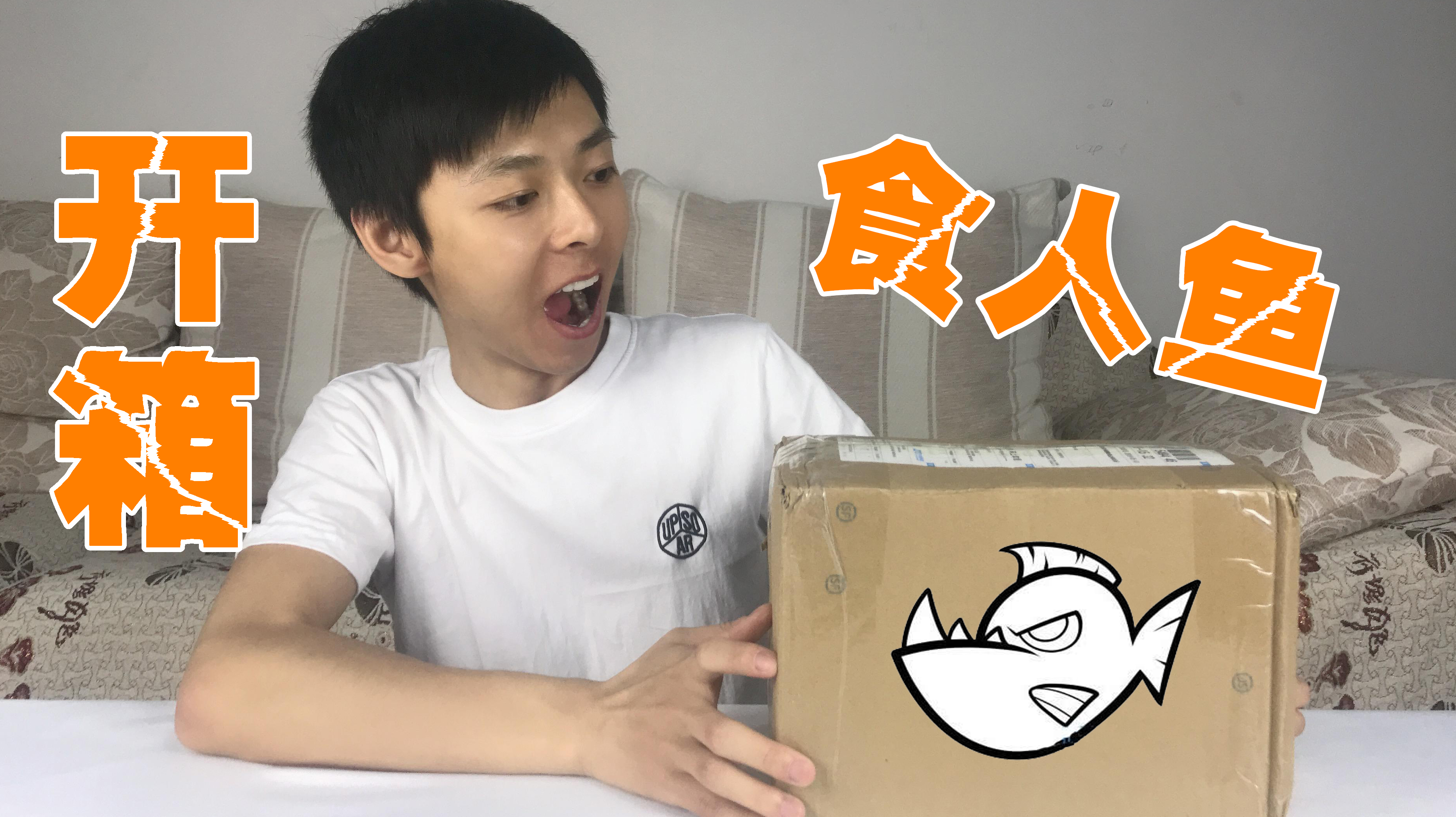 开箱亚马逊食人鱼,这鱼也太小了吧!不过还是挺凶的!