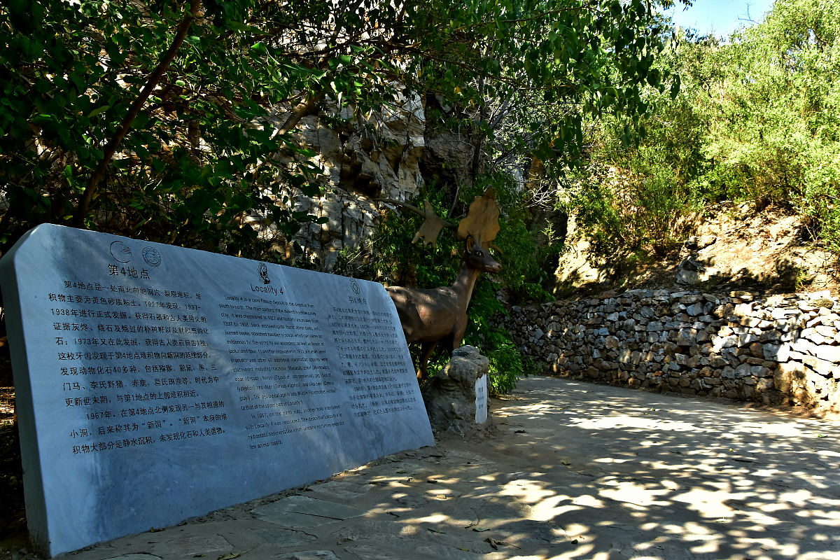 如何学术地表达'采取的主要措施如下'这句话