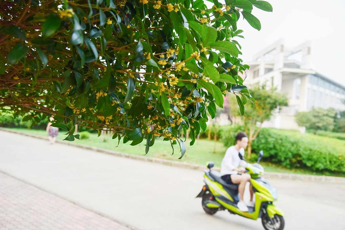 2023中秋节初中一等奖手抄报精选