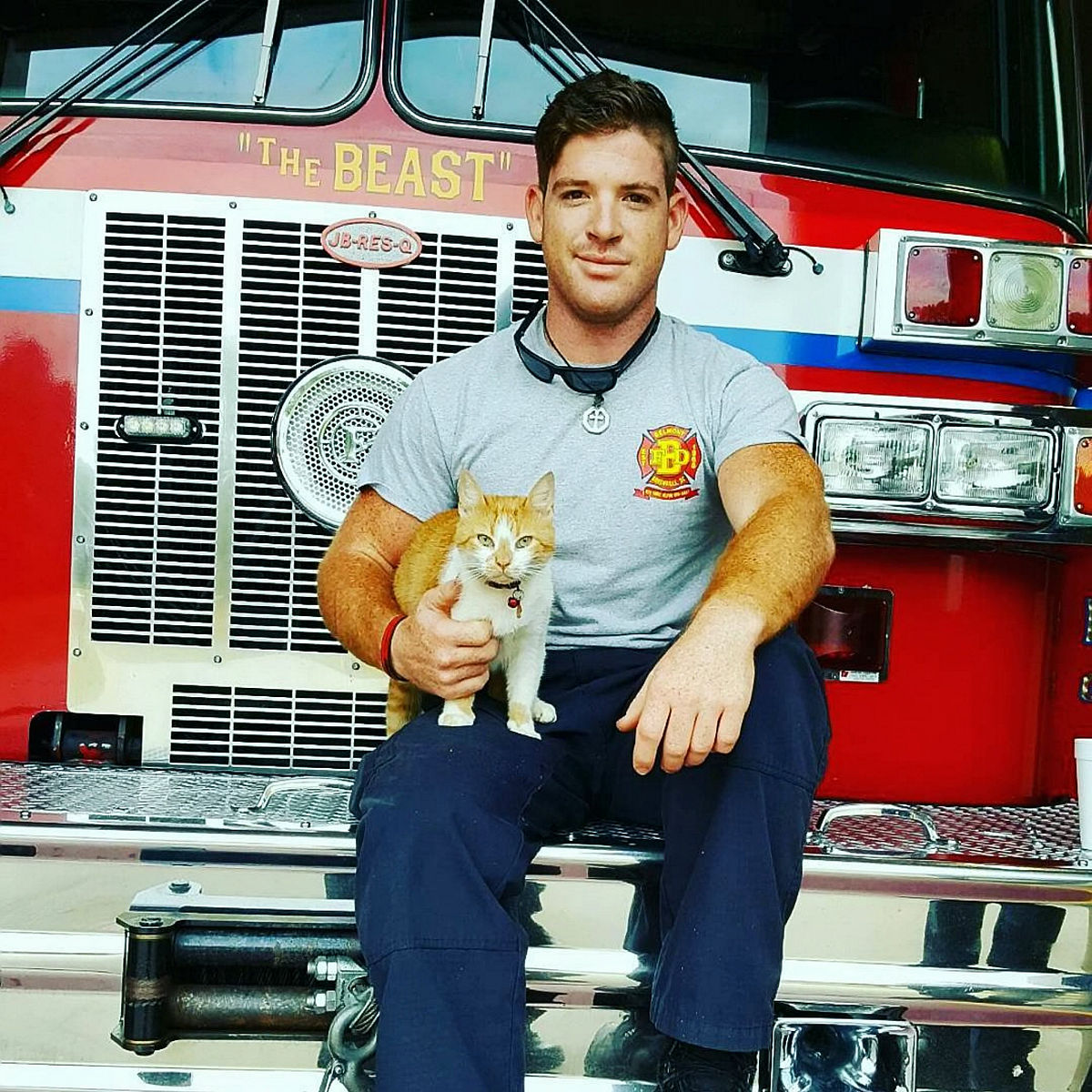 书香萌宠起名大全：优雅与可爱并存