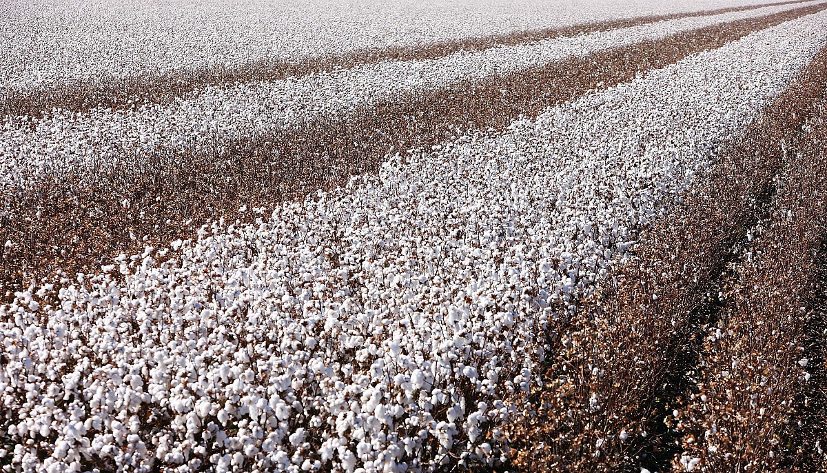 泸西县农业机械化技术学校2022年招生专业-助力乡村振兴