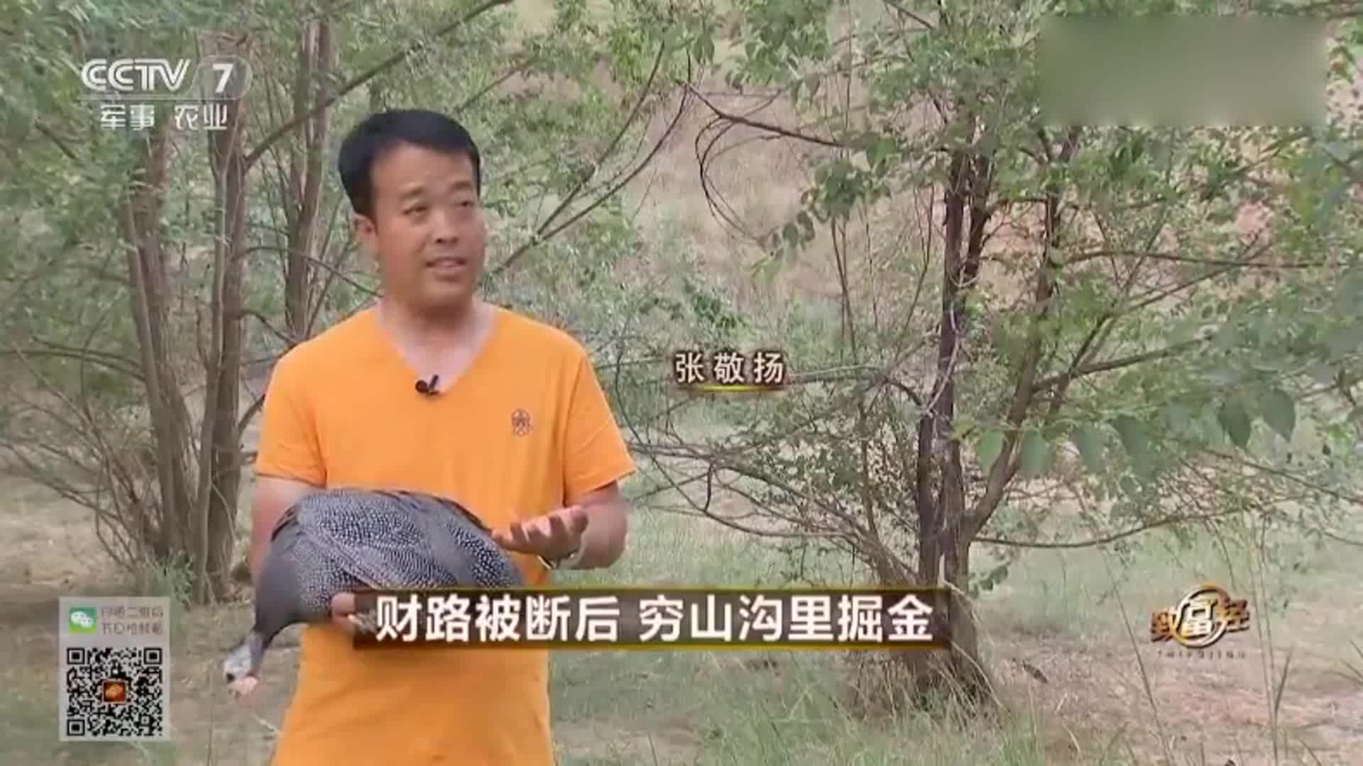 他养的这种鸡非同一般,分辨不出公母,却成为他的致富之道!