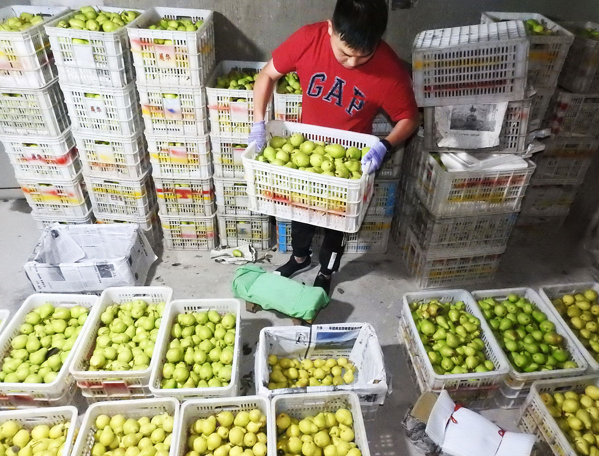 冷库租赁协议范本：详细条款保障您的权益