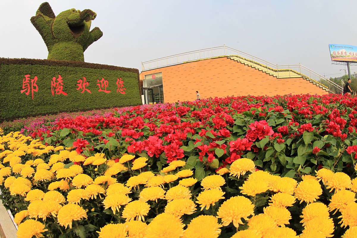 9月25日,河南鄢陵,第十四届中国·中原花木交易博览会会场局部.