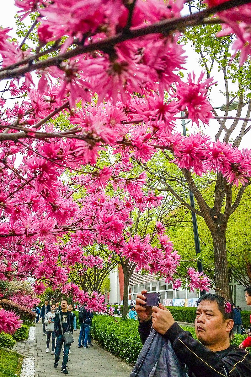 西安航空学院供热通风与空调工程技术专业怎么样？课程设置及就业前景