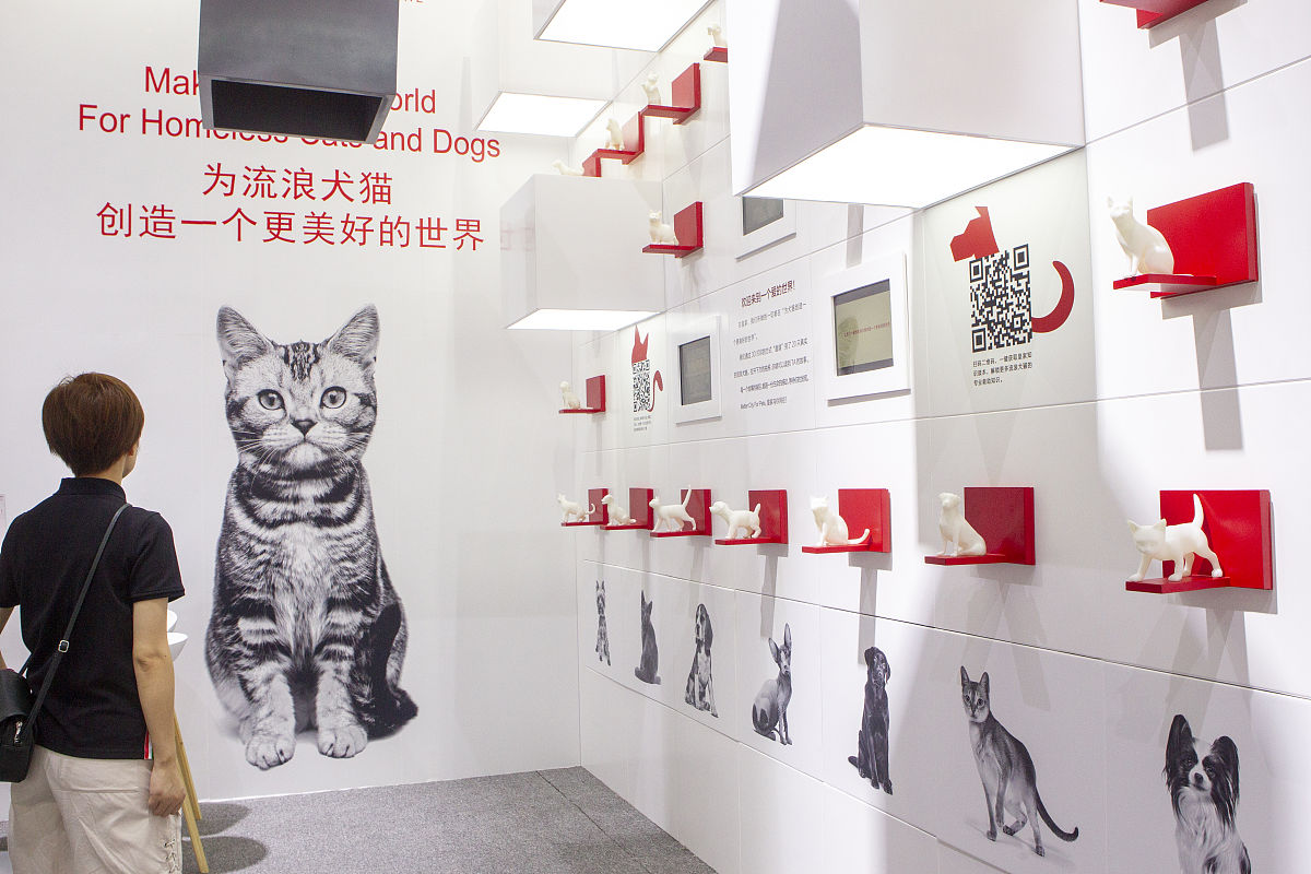 鲜朗猫粮和皇家猫粮对比