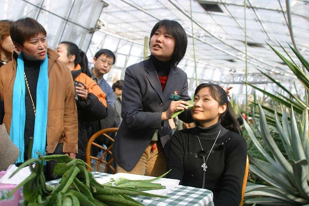 疫情期间驻村实习周记16篇，助力农村合作社销售农产品