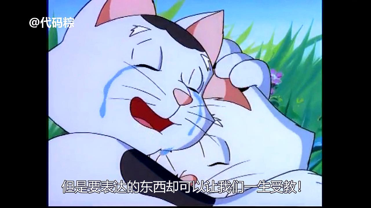 [图]《小贝流浪记》一只会飞的猫找妈妈的故事,90后的童年记忆