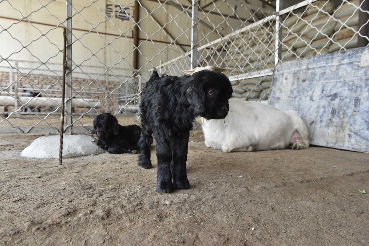 2023年广西玉林畜牧兽医学校招生信息介绍