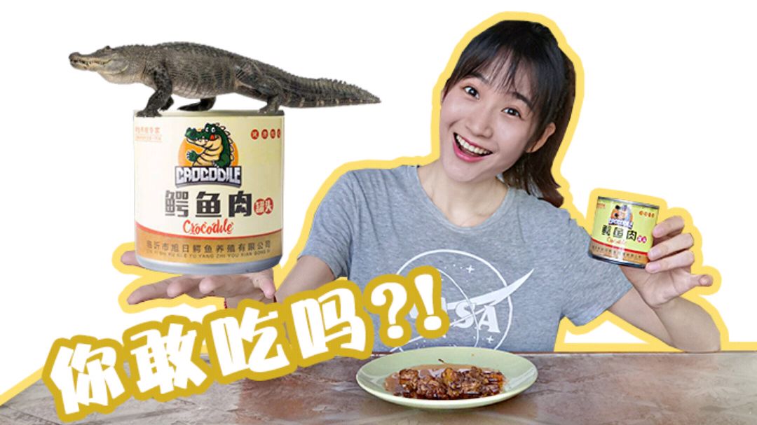 鳄鱼肉罐头,似曾相识的味道,熟悉的口感