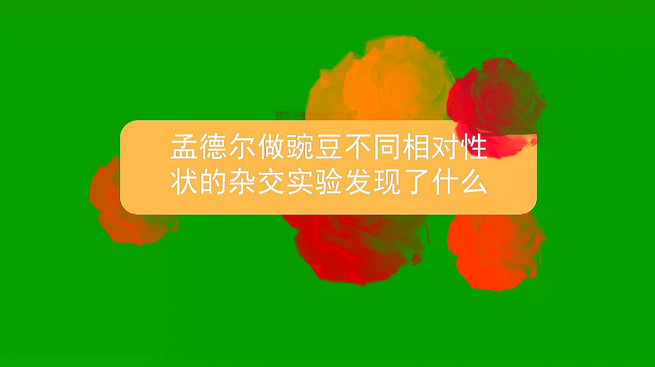 [图]孟德尔做豌豆不同相对性状的杂交实验发现了什么