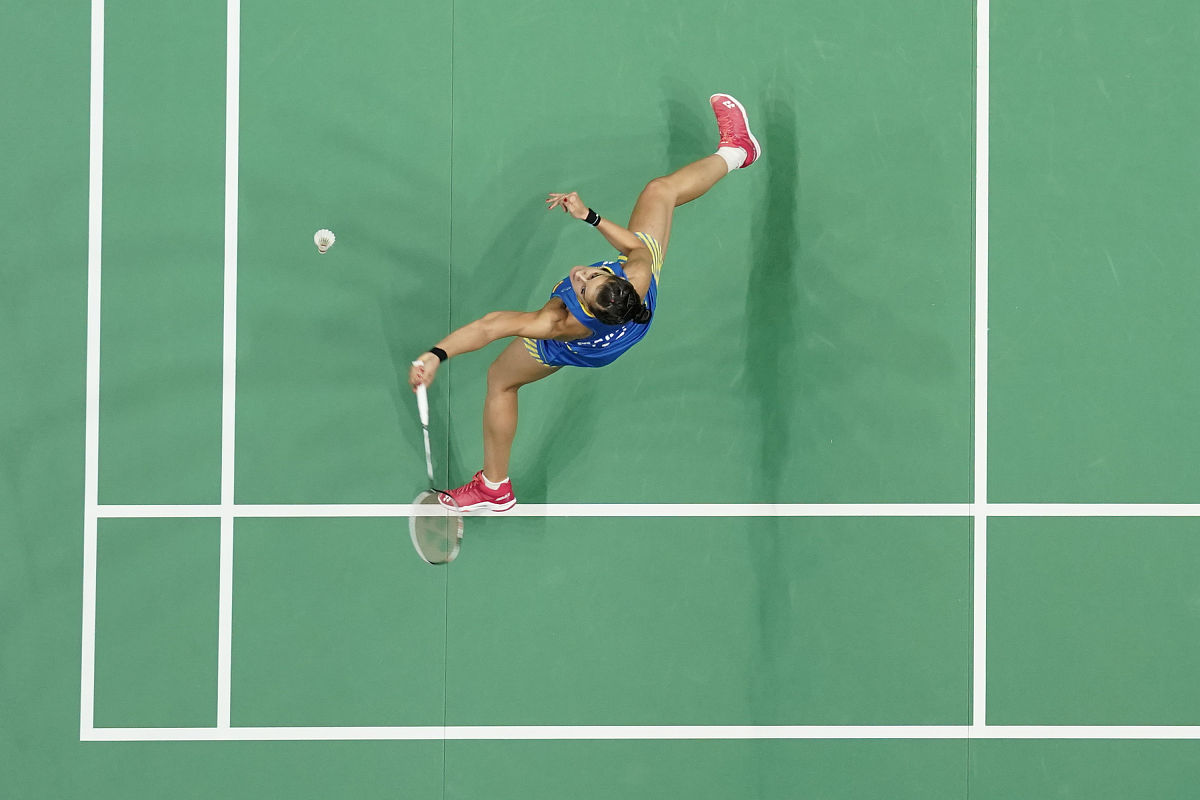 公园里的快乐小鸟 - 观察日记