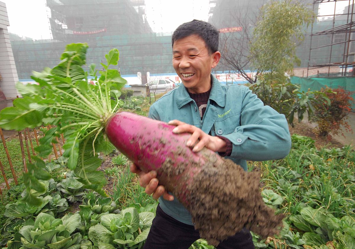 20*20*13公分单层承重能力计算