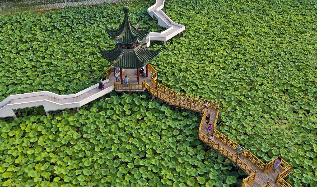 河南交通技师学院怎么样 地址在哪里