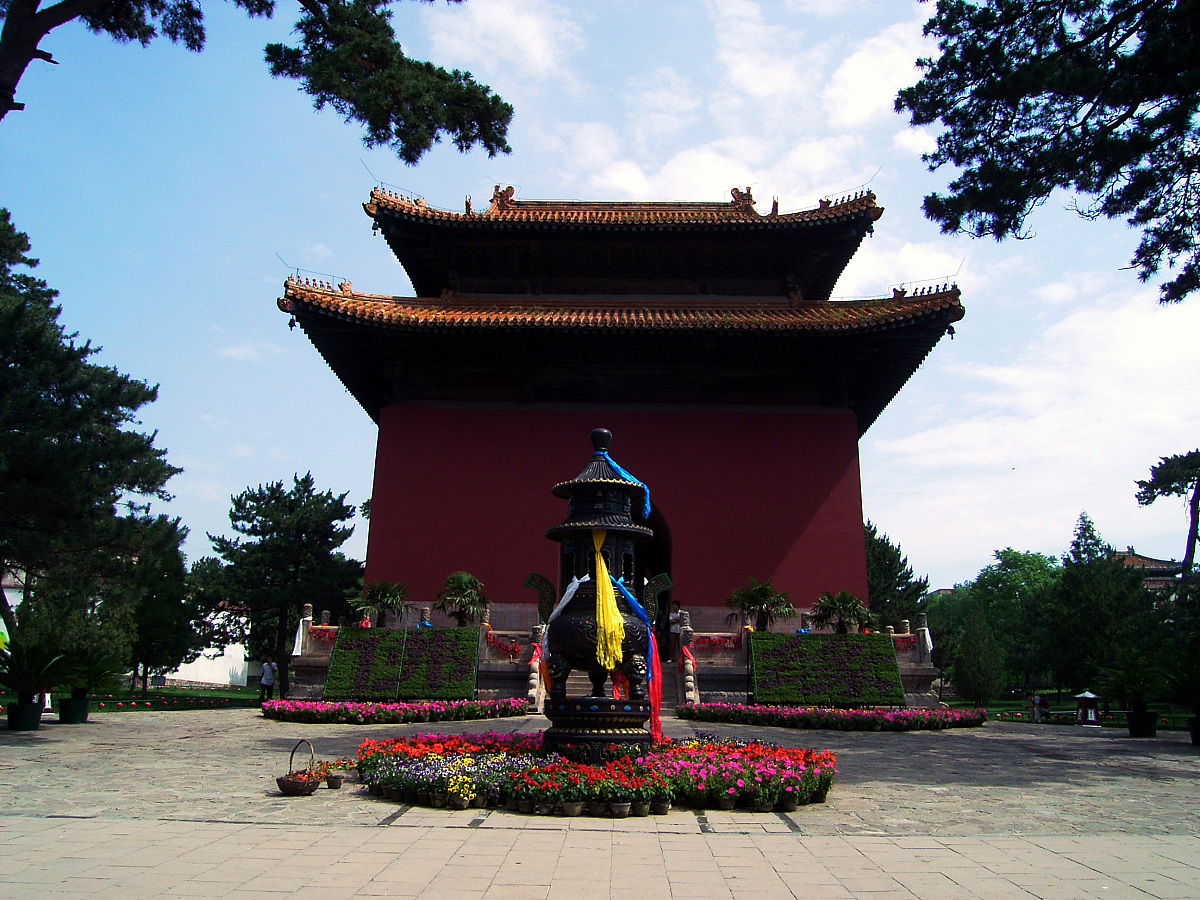 开封文化旅游学校2023年有那些专业怎么样