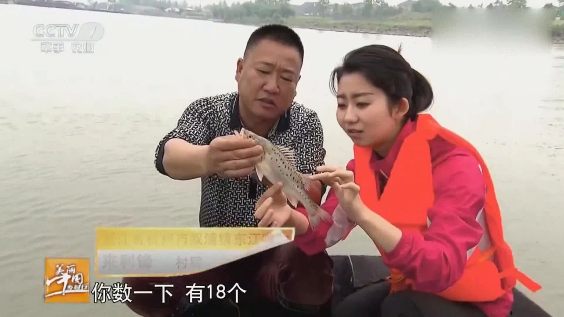 美丽中国乡村行:钱塘江串钩捕鱼,泥鳅做饵,鲈鱼甲鱼就能上钩!
