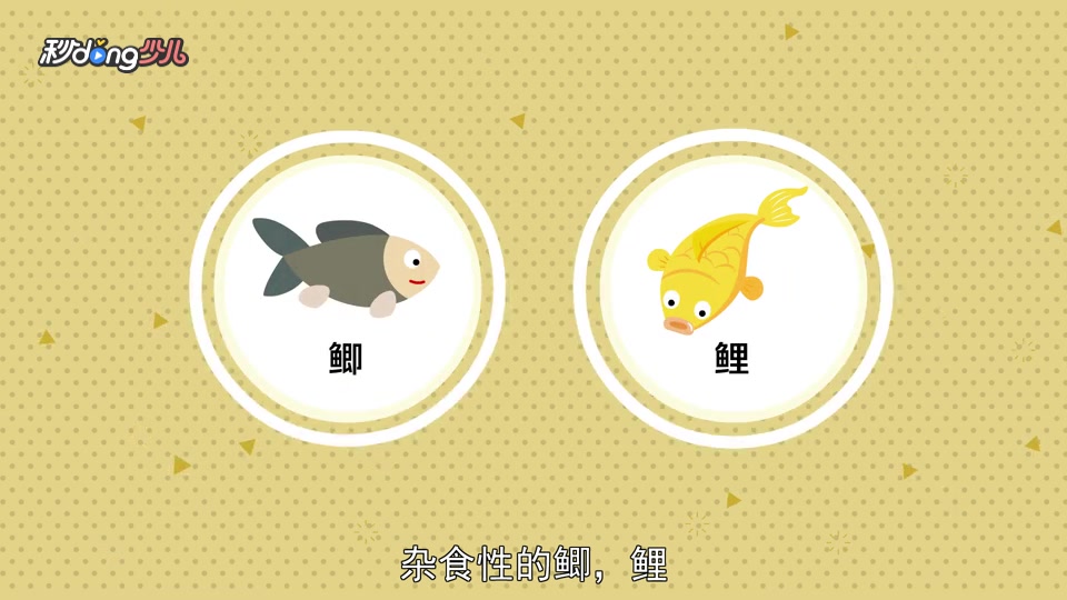 有淡水鱼和咸水鱼之分?