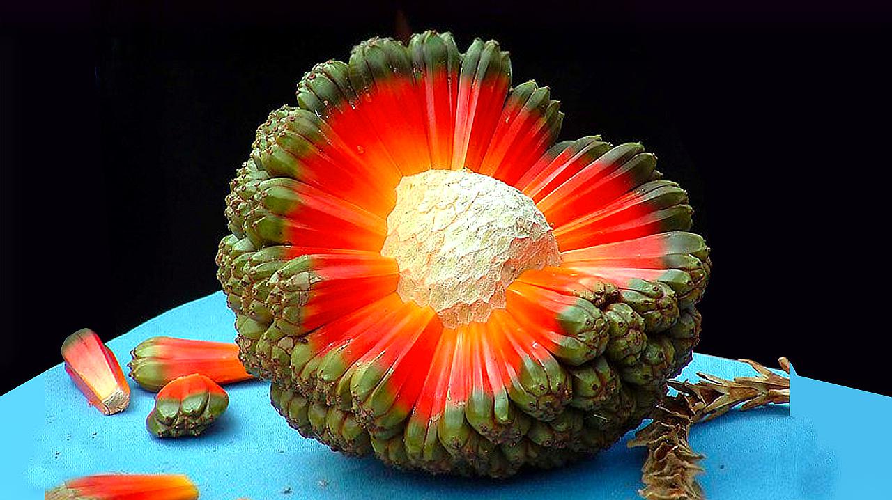 有生之年,一定要尝一次的7种水果