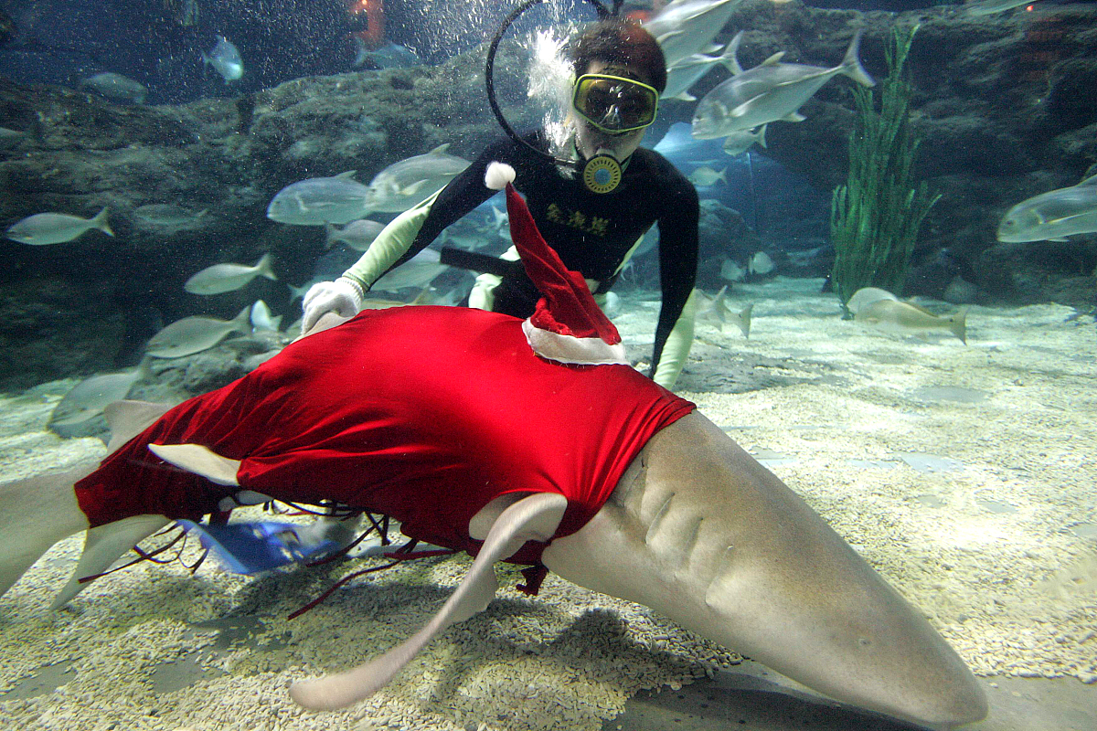 不费吹灰之力是什么意思_词语不费吹灰之力的意思