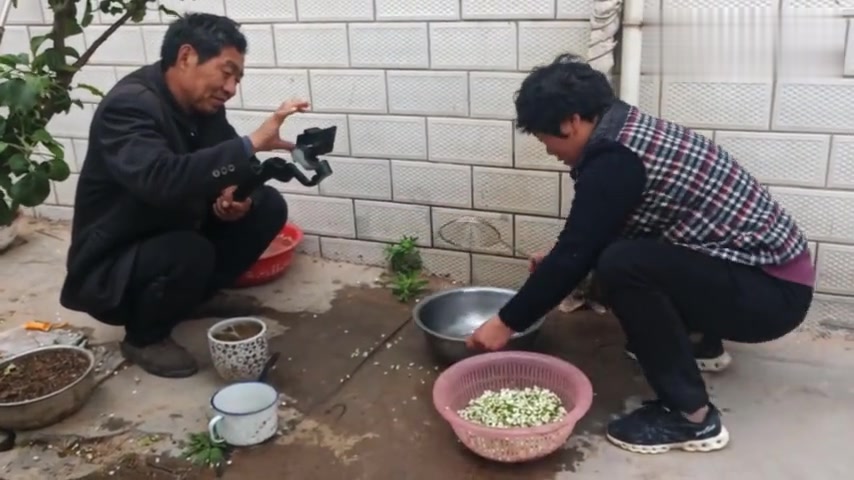 农村阿姨用洋槐花,蒸出来的蒸菜美味可口,槐花还不要钱随便摘