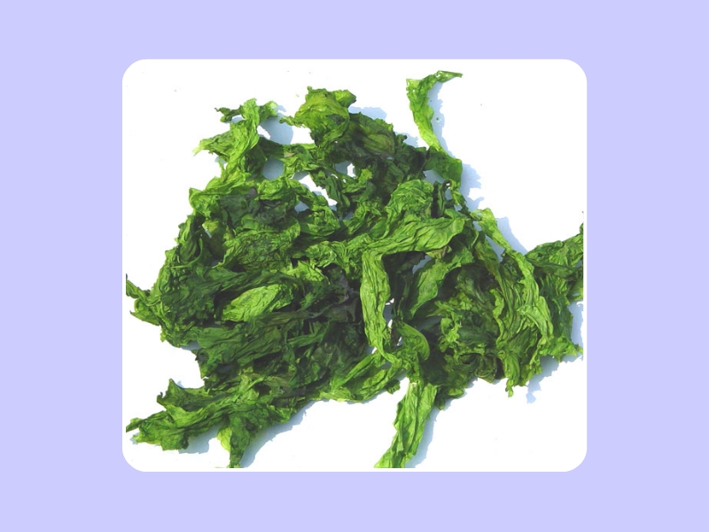 扁浒苔:又名海青菜