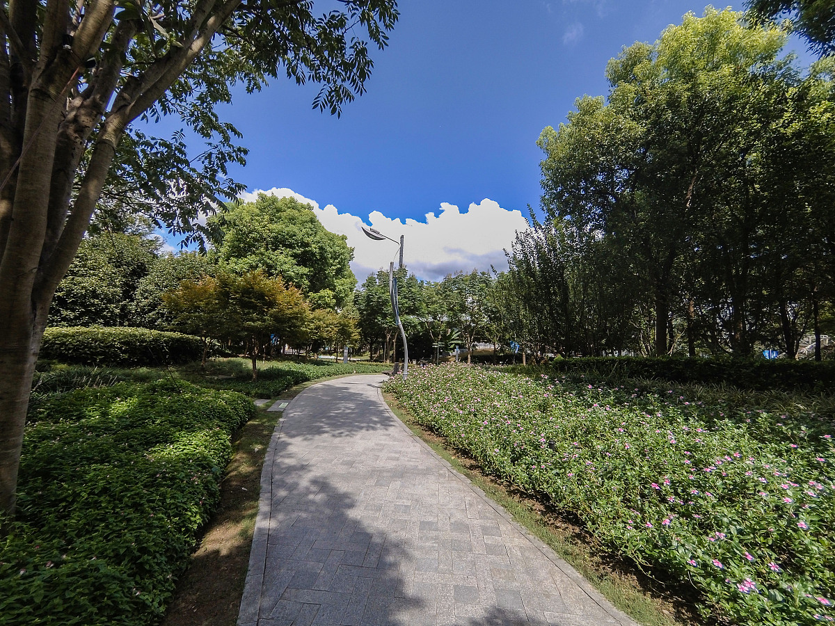 公园用地分析调研报告：提升城市绿地功能和效益