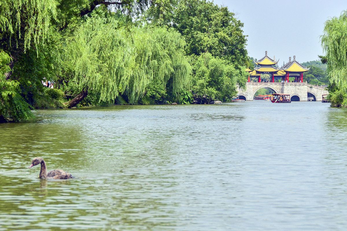 2019年6月24日,位于江苏省扬州市的瘦西湖景区,总面积2000亩,水上面积