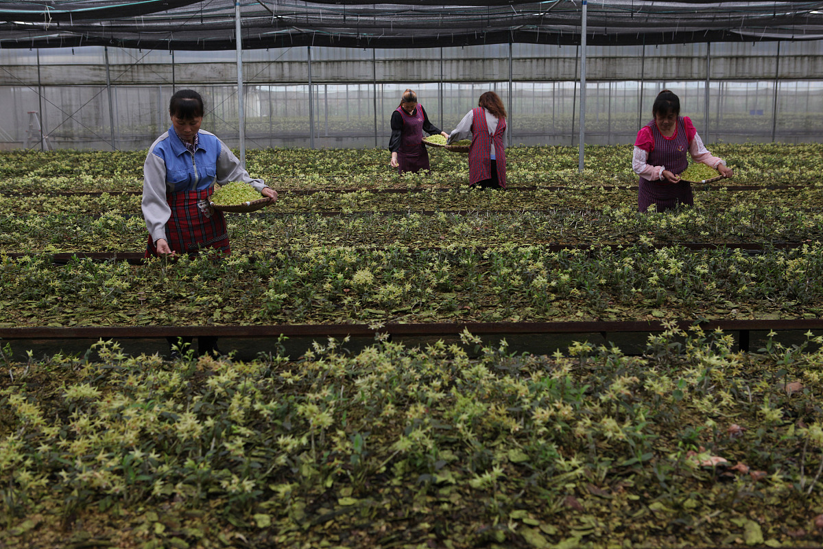 内江市高级技工学校地址及乘车路线 - 如何到达内江市高级技工学校