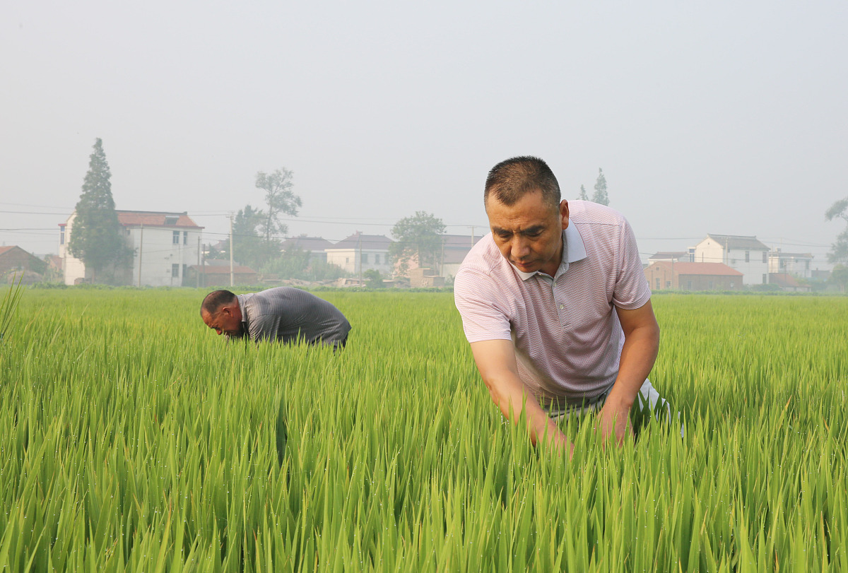 江苏省城镇建设学校交通专业运营管理介绍