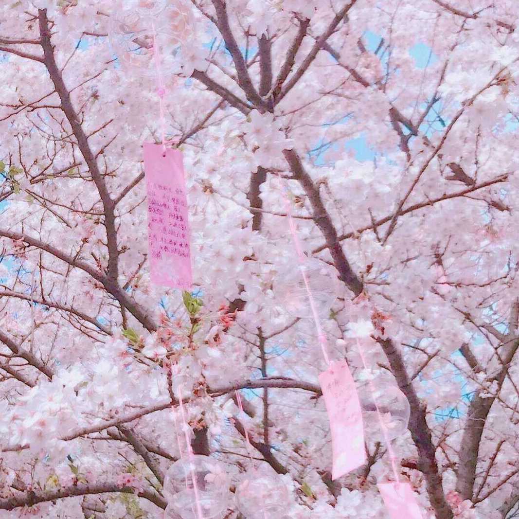 大学助手