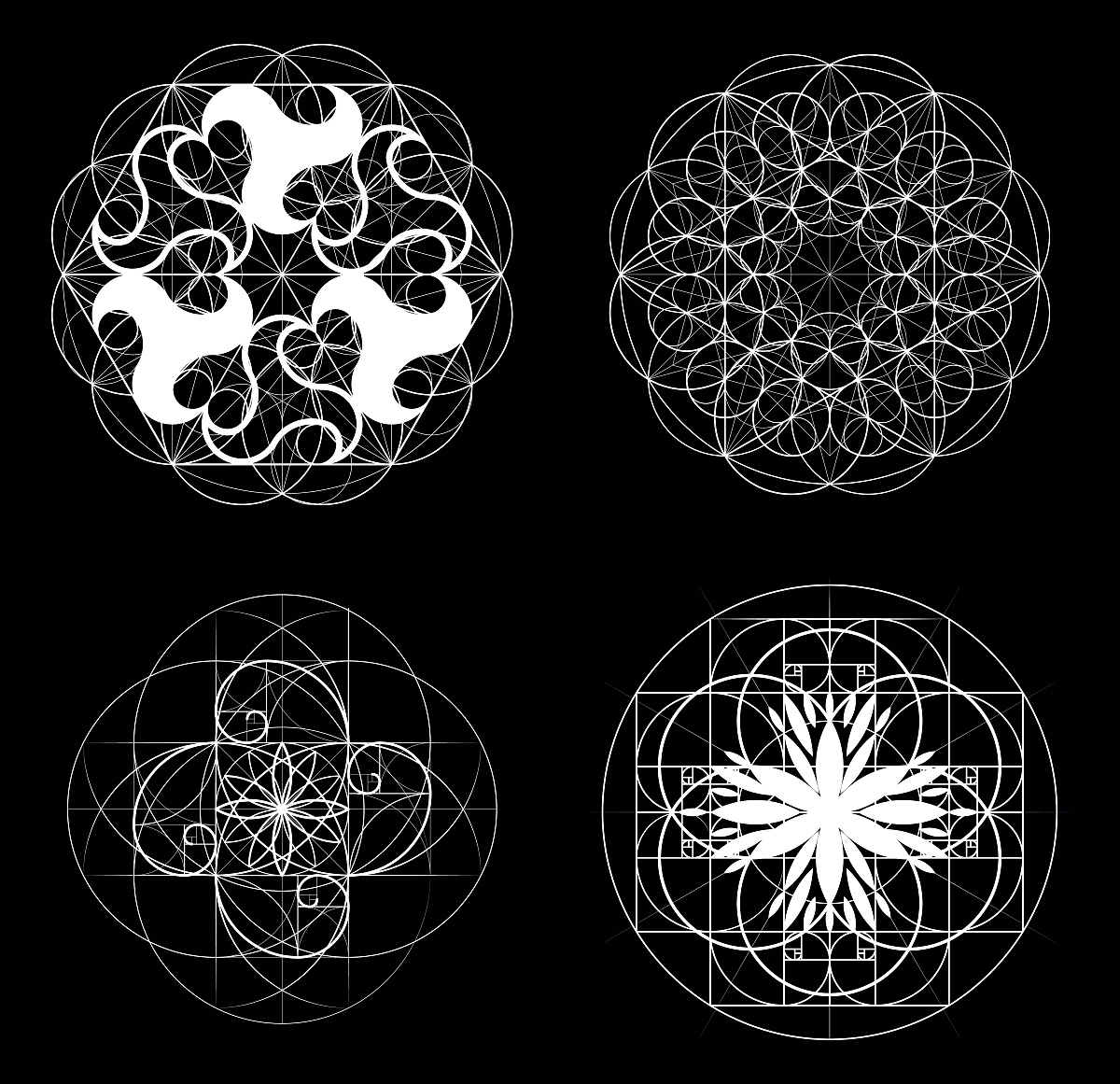 sacred geometry. golden section. vector 10 eps