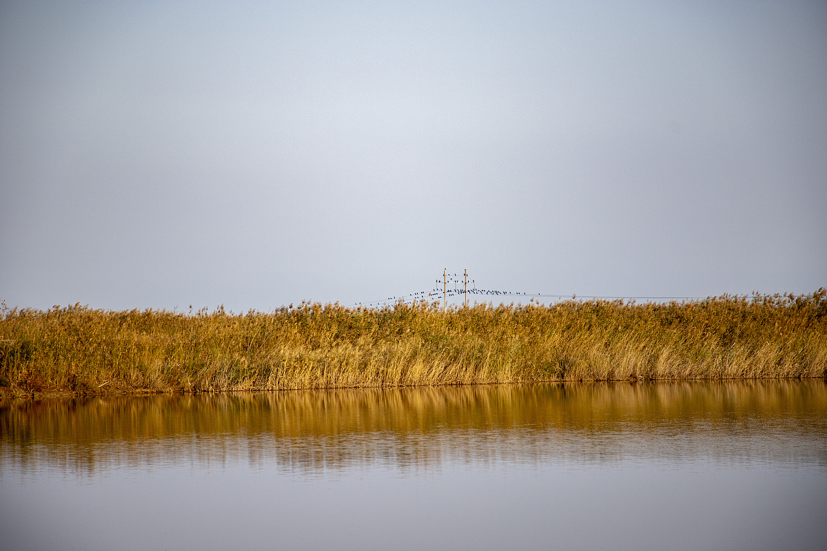 表 3-3 三亚旅游形象感知前 100 位高频词Table 3-3 Top 100 high-frequency words in Sanya tourism image perception改成海口