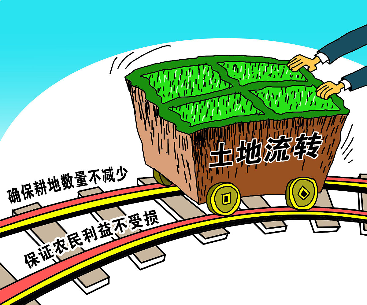 《市耕地保护“三零”行动实施方案》（2023-2025年）