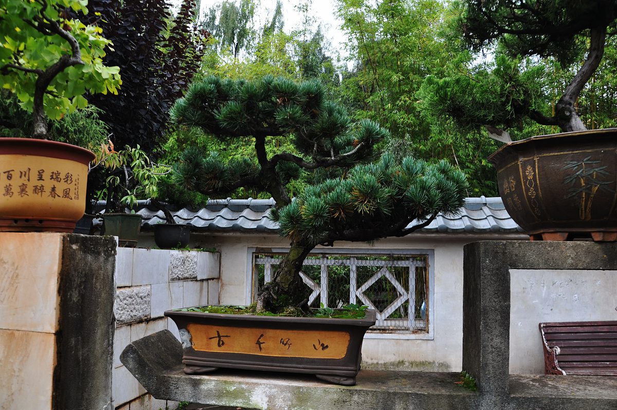 平定县高级职业中学校2023年招生专业介绍 - 选择专业指南
