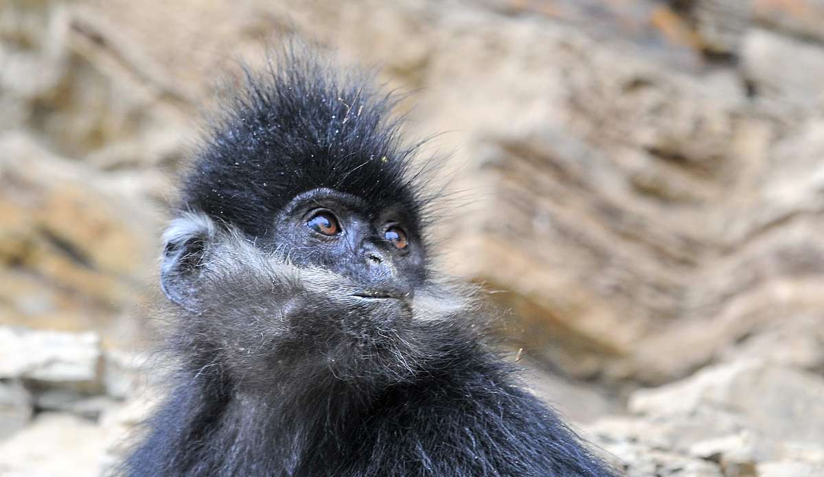 2023年沿河土家族自治县中等职业学校招生简章 - 优质职业教育，成就美好未来