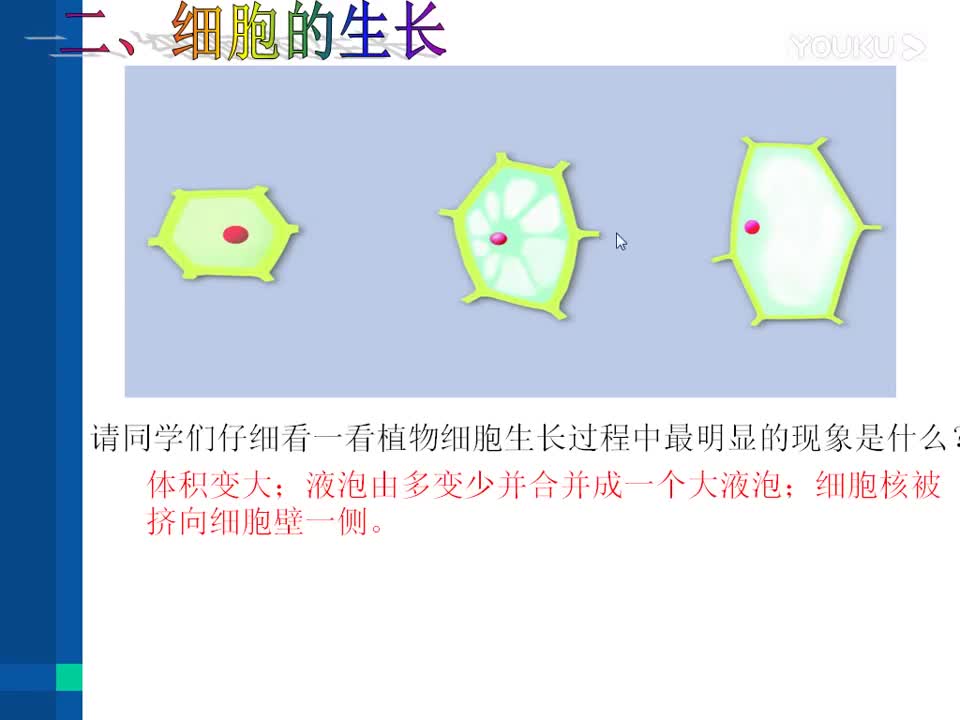 [图]细胞的分裂和分化