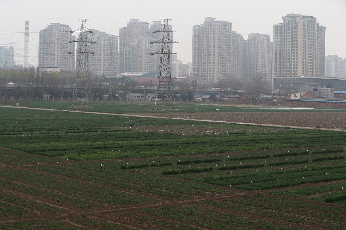 农业学报 (Journal of Integrative Agriculture): 综合性农业学术期刊