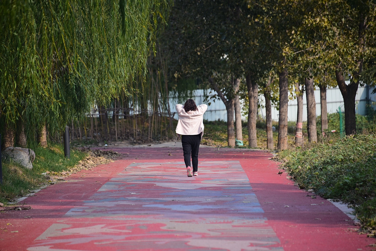 环形面积计算公式及应用 | 如何计算环形面积？