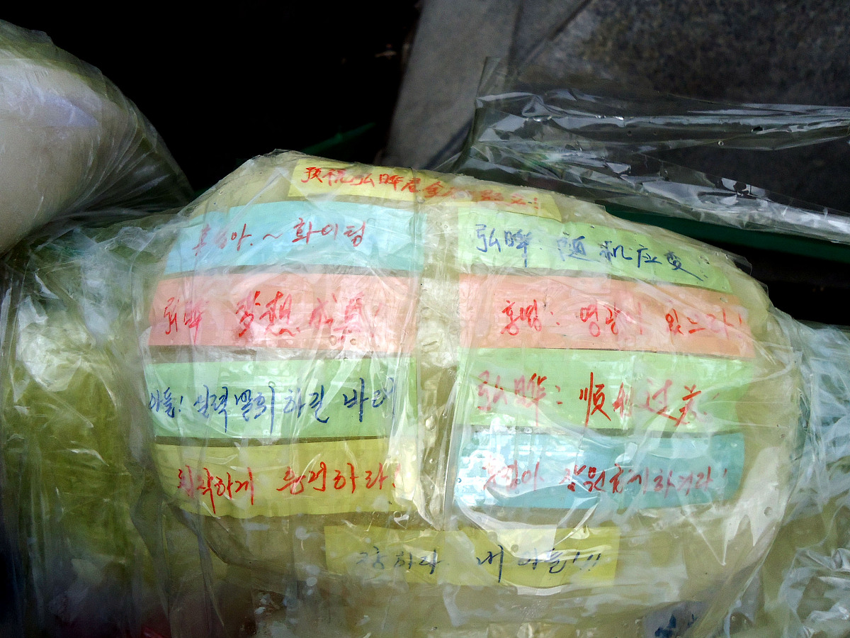 端午节祝福语：祝大学老师节日快乐，桃李满天下