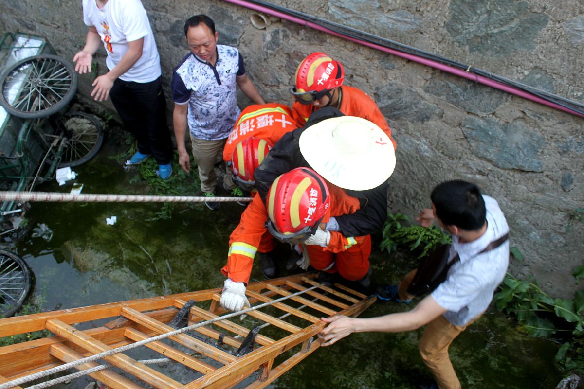 影响劳动关系发展的关键因素解析