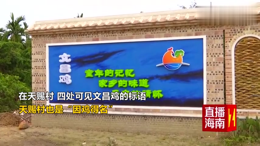 这个村因为海南普通话被天子赐名?还盛产最正宗“文昌鸡”!